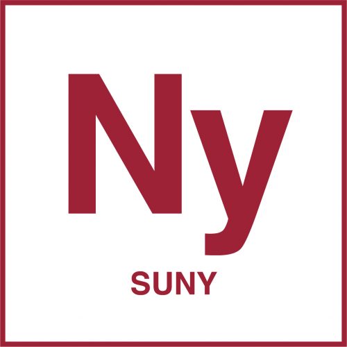 The State University of New York, Case study on charter school authorizing